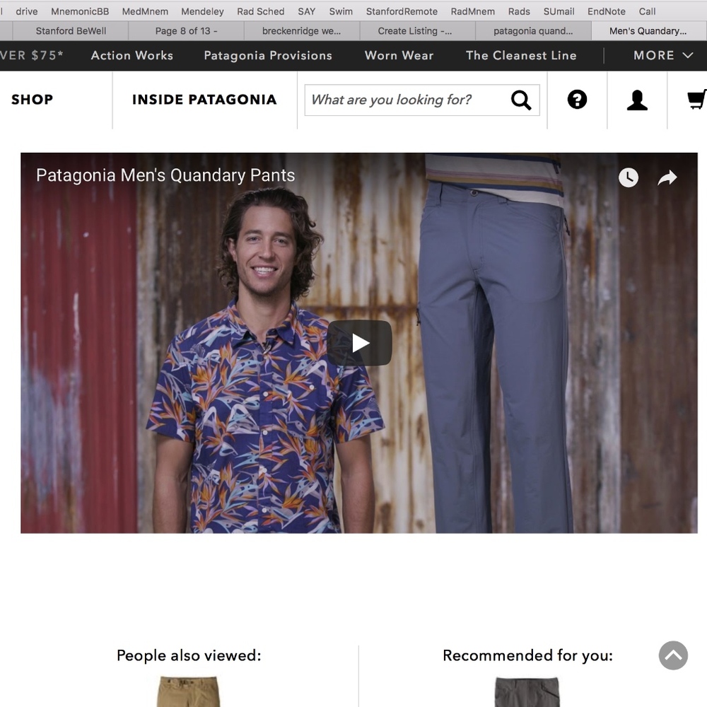 Patagonia Men's Quandary Pants - Regular